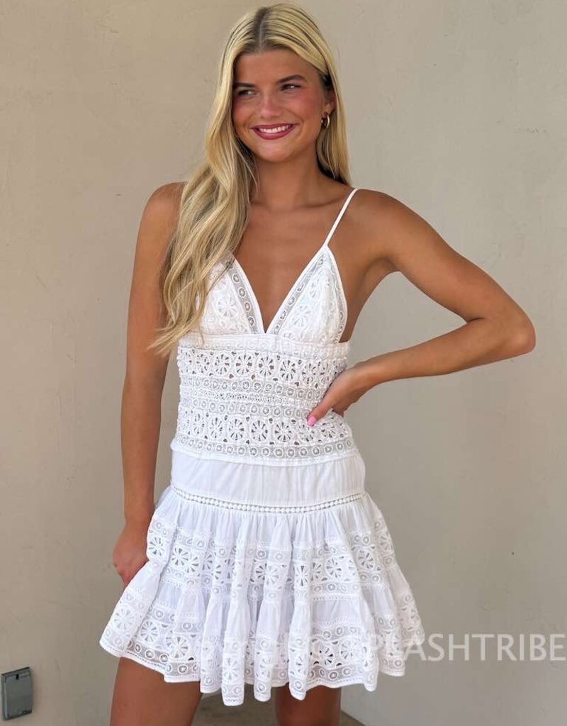 Floral Embossed Lace Solid Mini Dress