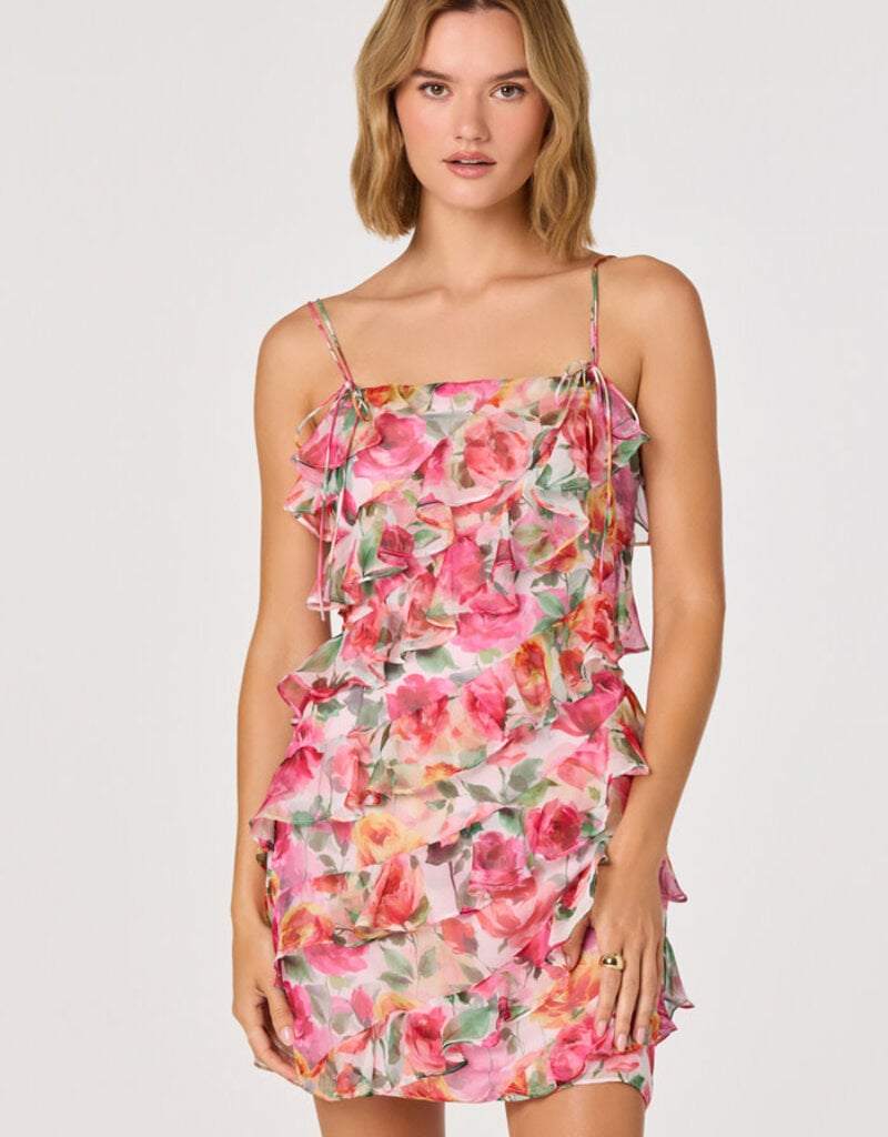 ASTR Blanca Floral Mini Dress