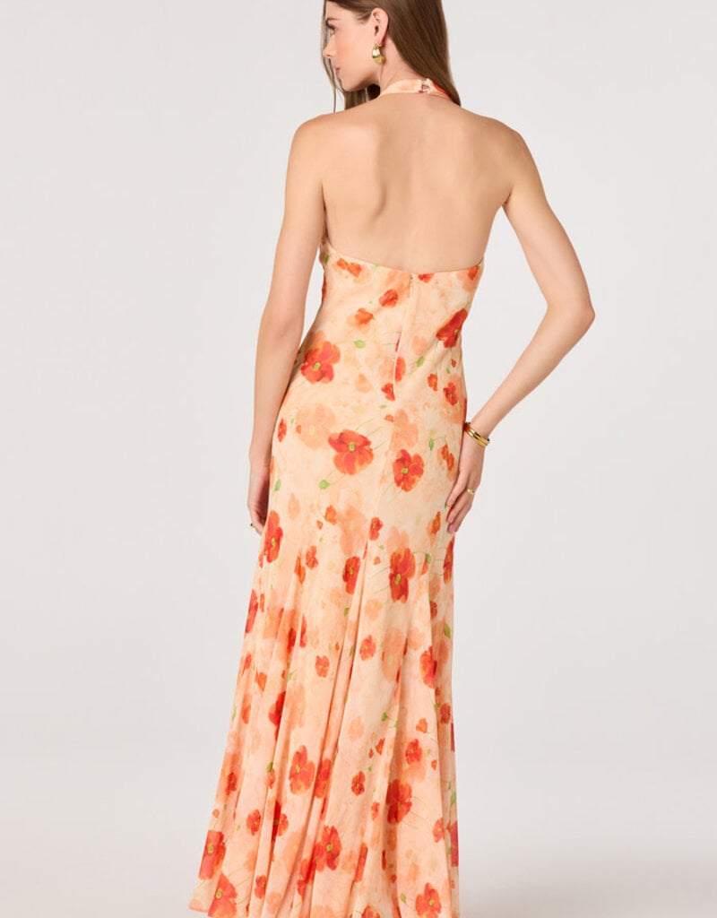 ASTR Yasmeen Floral Maxi Dress