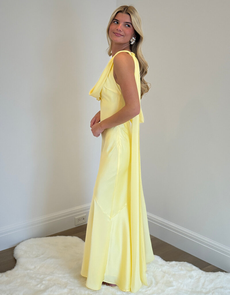 Gabriella Cowl Maxi Dress