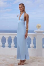 Sylvie Plunge V Neck Maxi Dress
