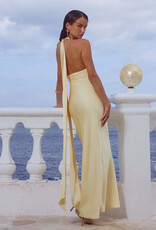 Sylvie Plunge V Neck Maxi Dress