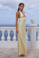 Sylvie Plunge V Neck Maxi Dress