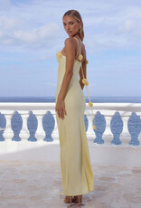 Lavena Floral Detail Maxi Dress