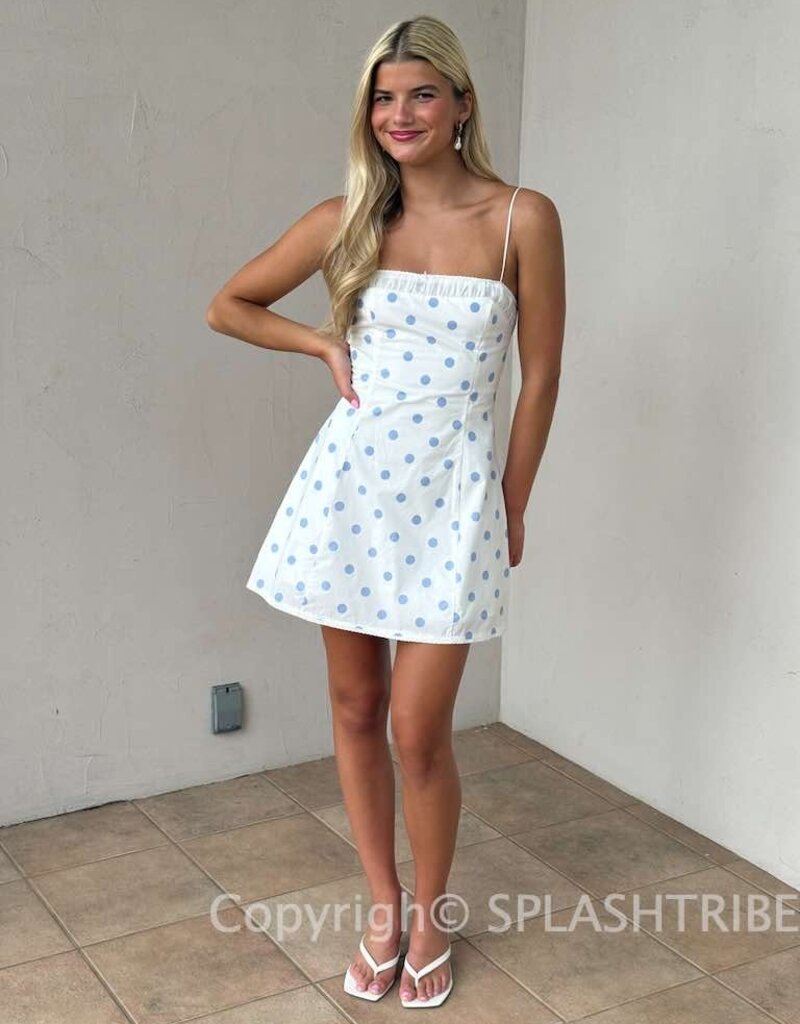 Liuvia Polka Dot Mini Dress