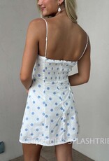 Liuvia Polka Dot Mini Dress