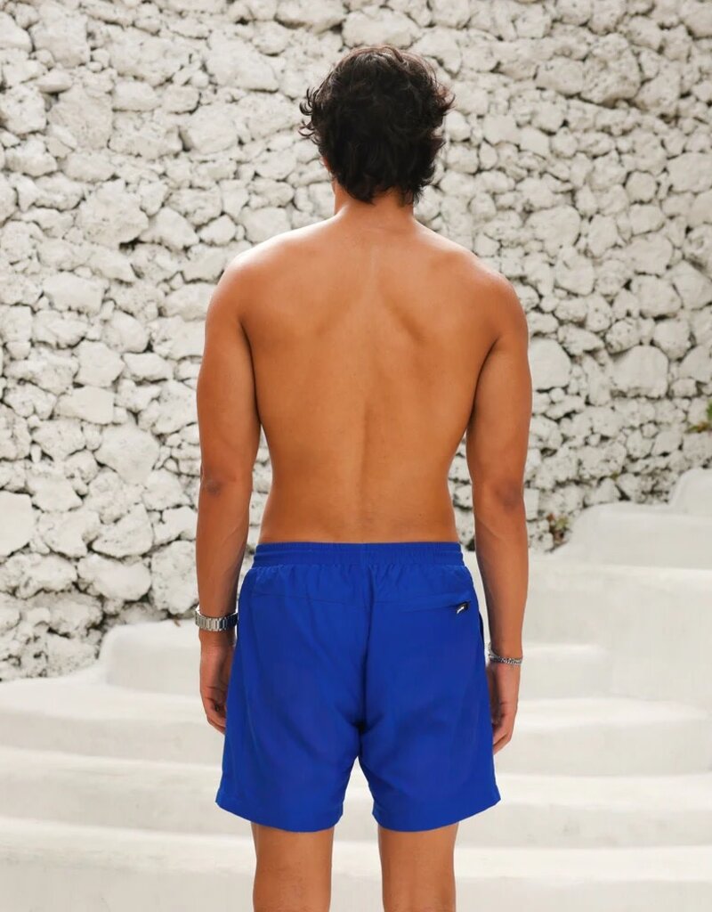 Kulani Kinis Mens Swim Trunks