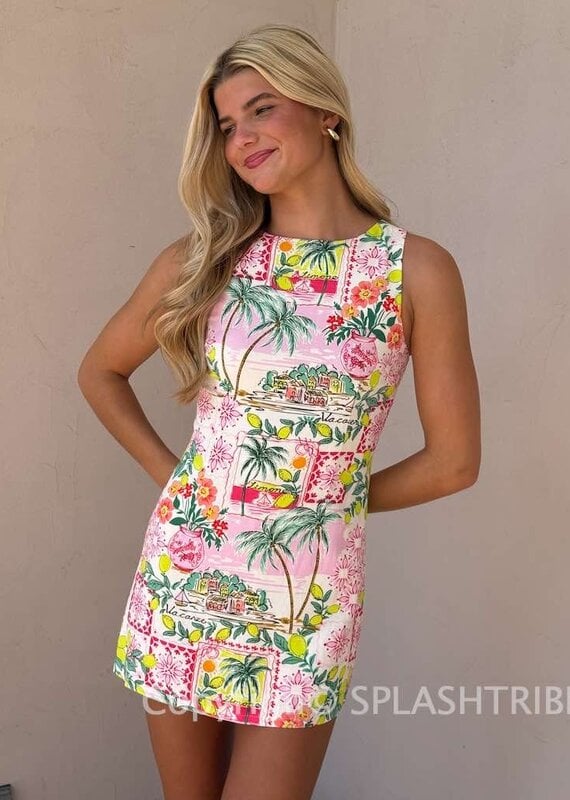 Resort Fitted Sleeveless Shift Mini Dress