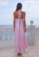 Sylvie Plunge V Neck Maxi Dress