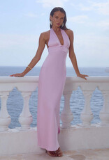Sylvie Plunge V Neck Maxi Dress