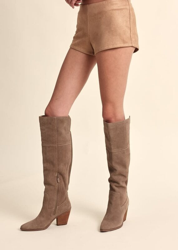 Cassidy Faux Suede Micro Shorts