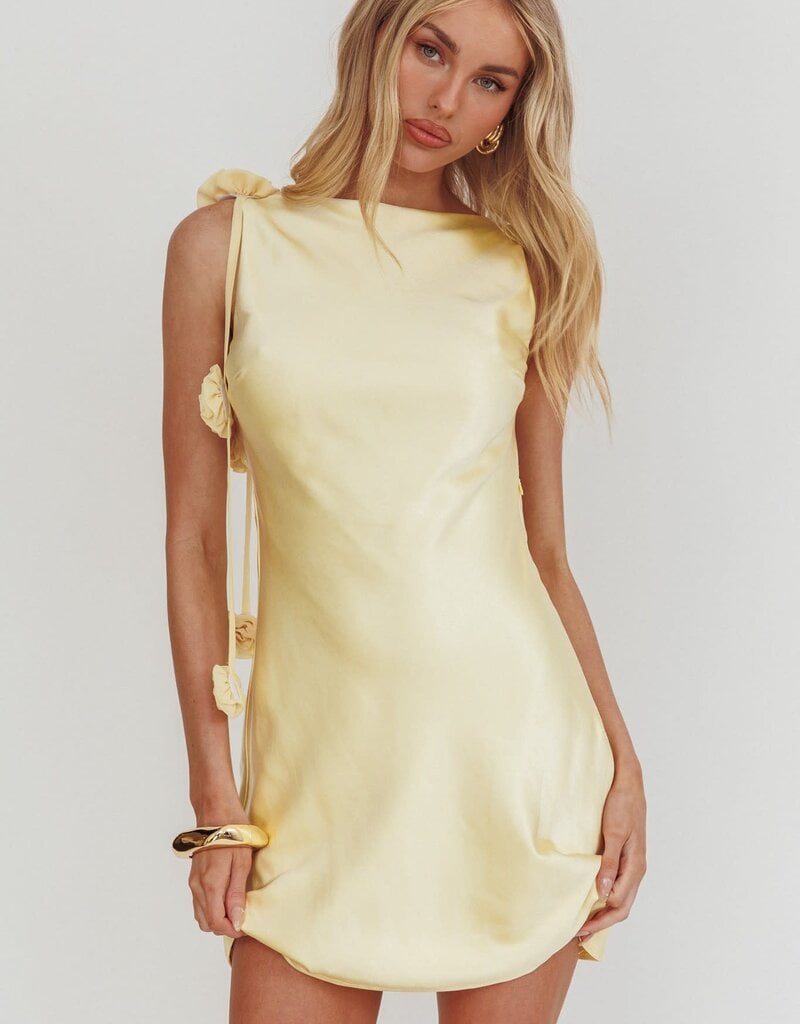 Satin Boat Neck 3D Rosette Frill Mini Dress