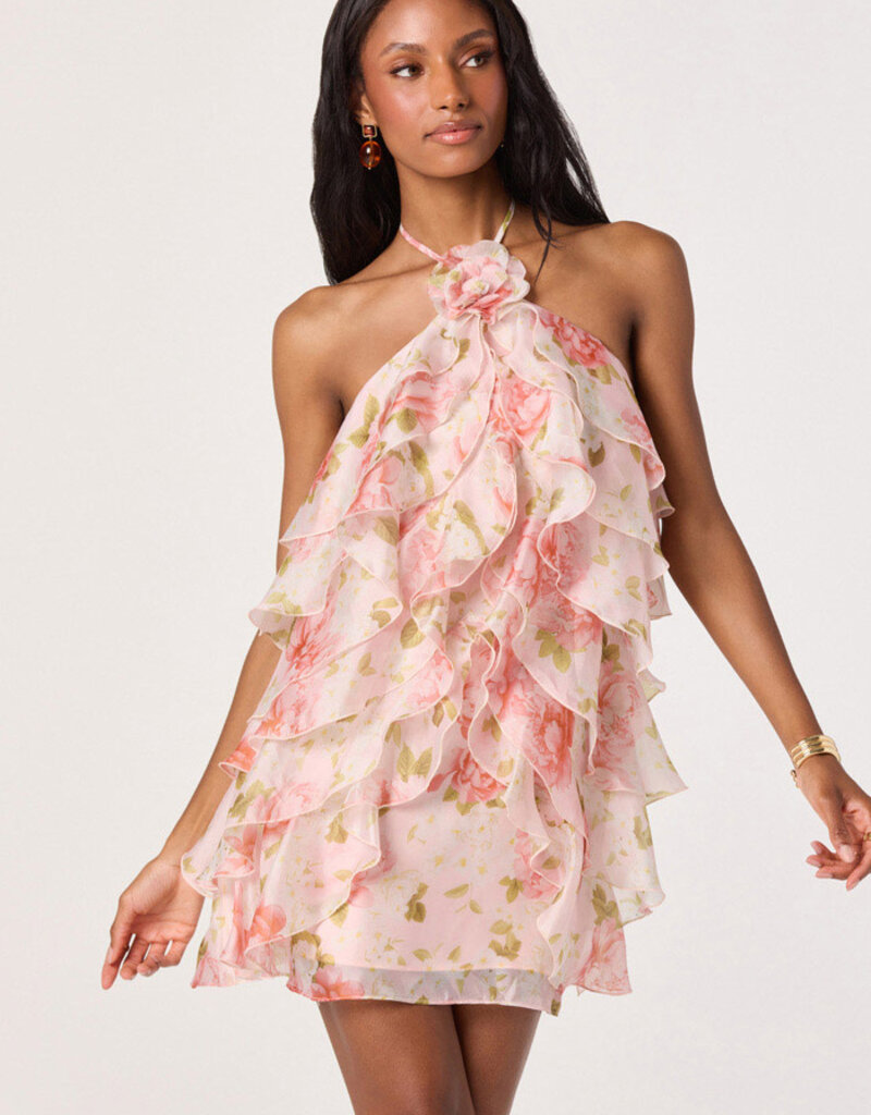 ASTR OFRA Floral Mini Dress