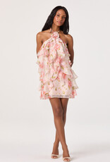 ASTR OFRA Floral Mini Dress