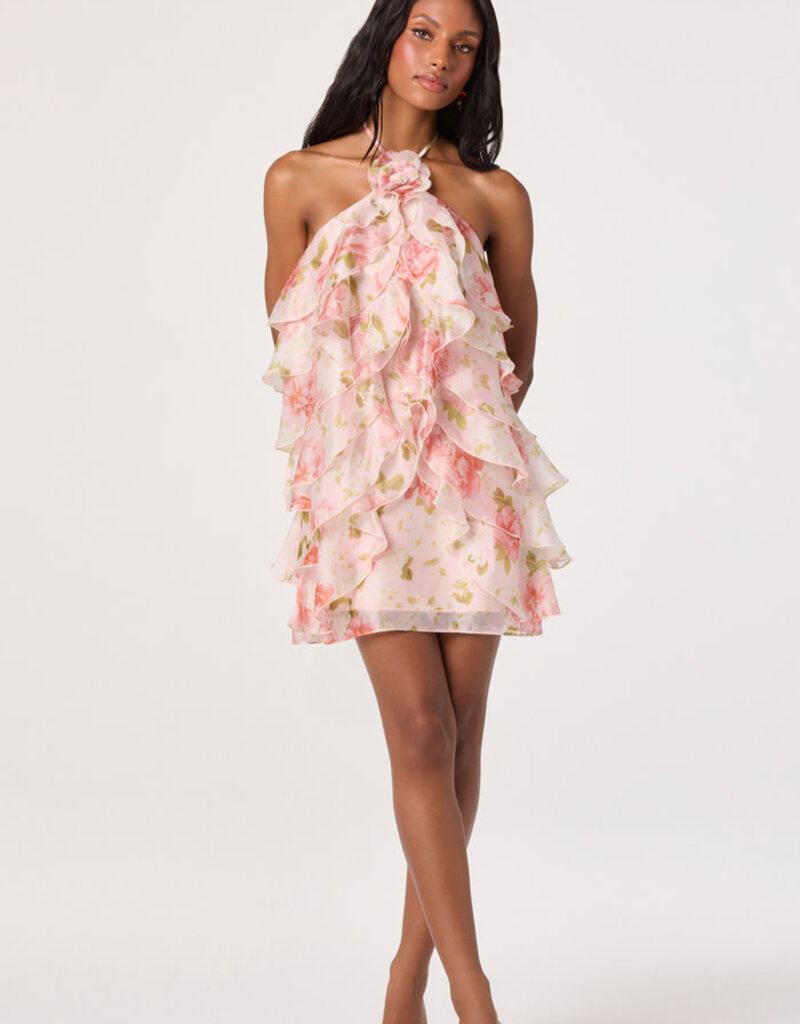 ASTR OFRA Floral Mini Dress