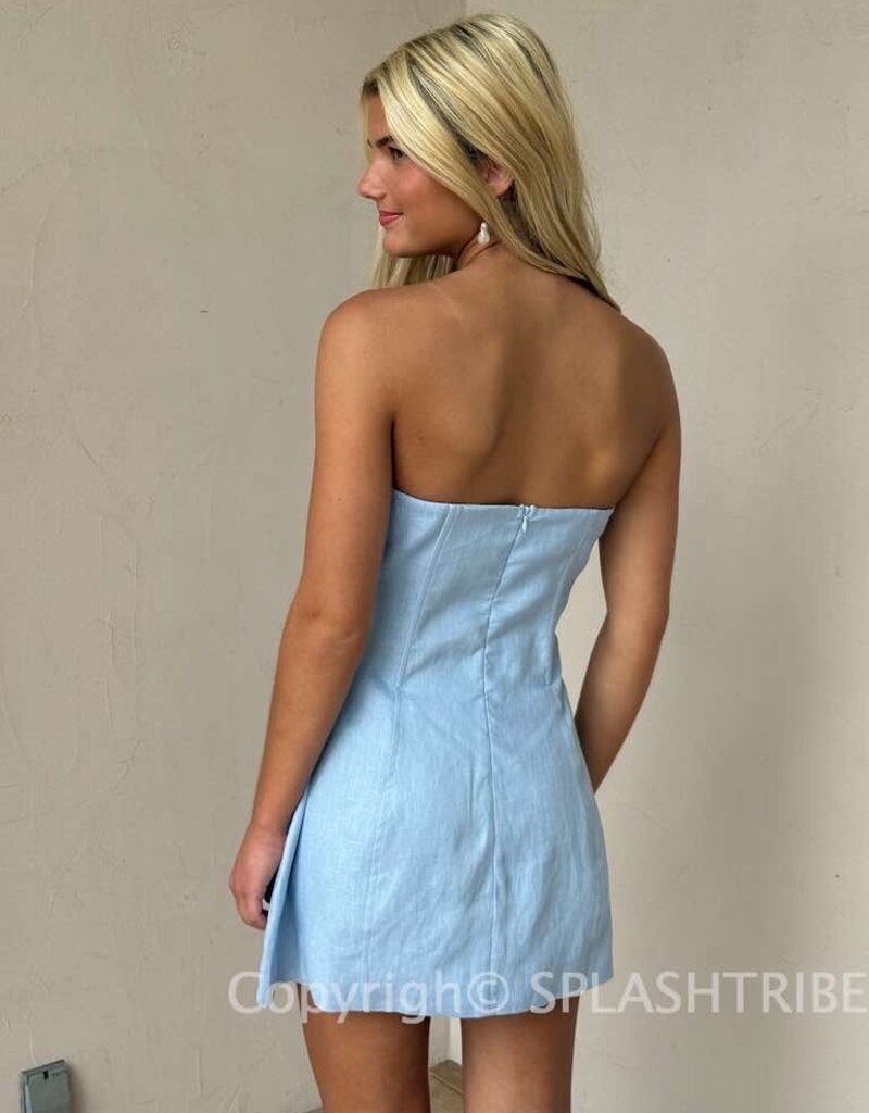 Ashlin Linen Strapless Mini Dress