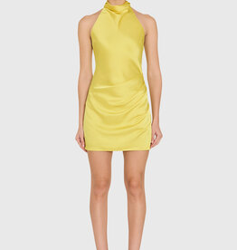 Chantel High Neck Mini Dress
