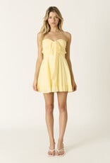 Swiss Dot Strapless Tie Front Mini Dress