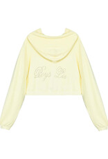 Boys Lie Boys Will Be Boys Who Lie Alex Zip Cropped Hoodie