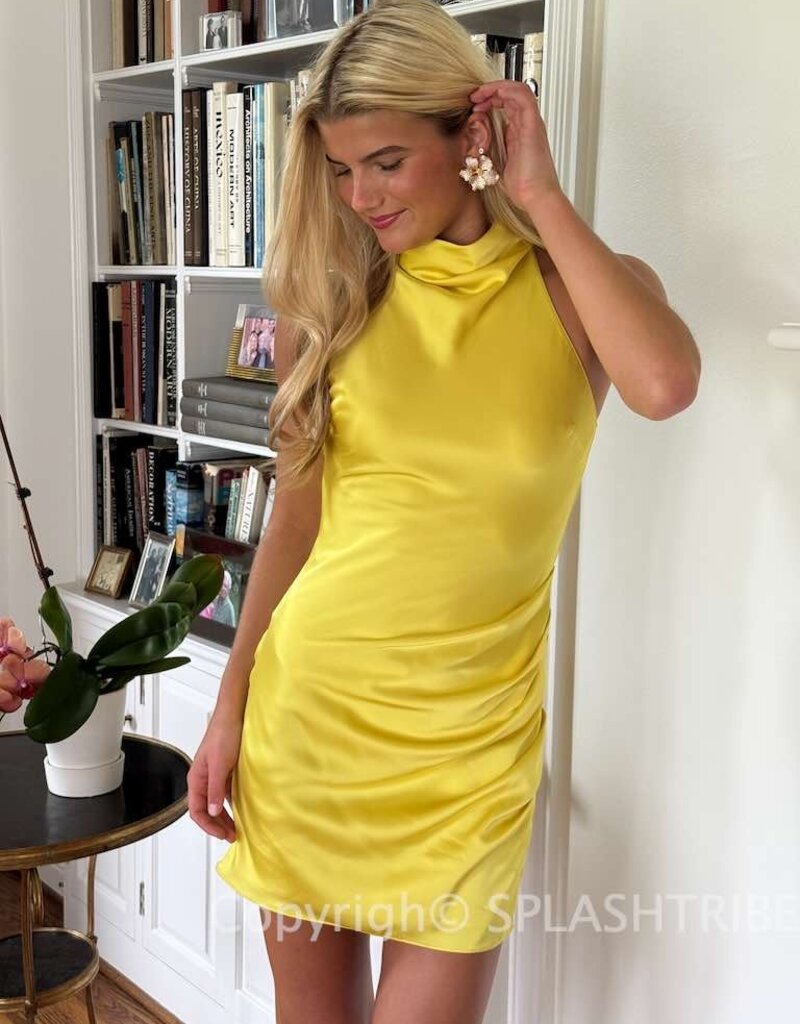 Amanda Uprichard Chantel High Neck Mini Dress