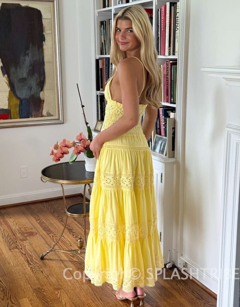 Floral Embossed Lace Solid Midi Dress