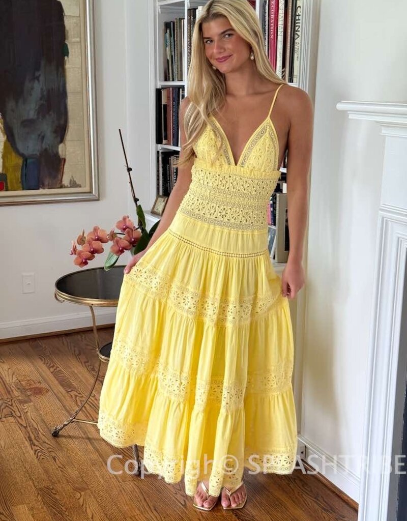 Floral Embossed Lace Solid Midi Dress