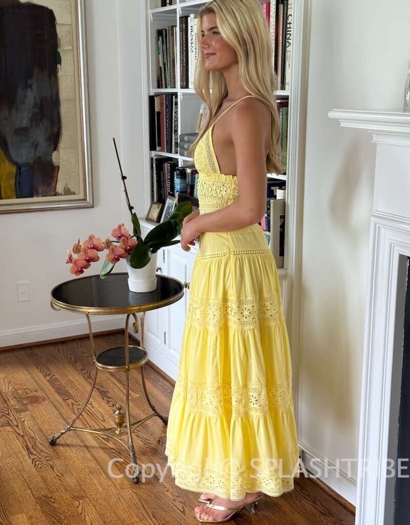 Floral Embossed Lace Solid Midi Dress