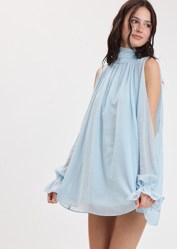 Celine Chiffon Long Sleeve Flowy Mini Dress