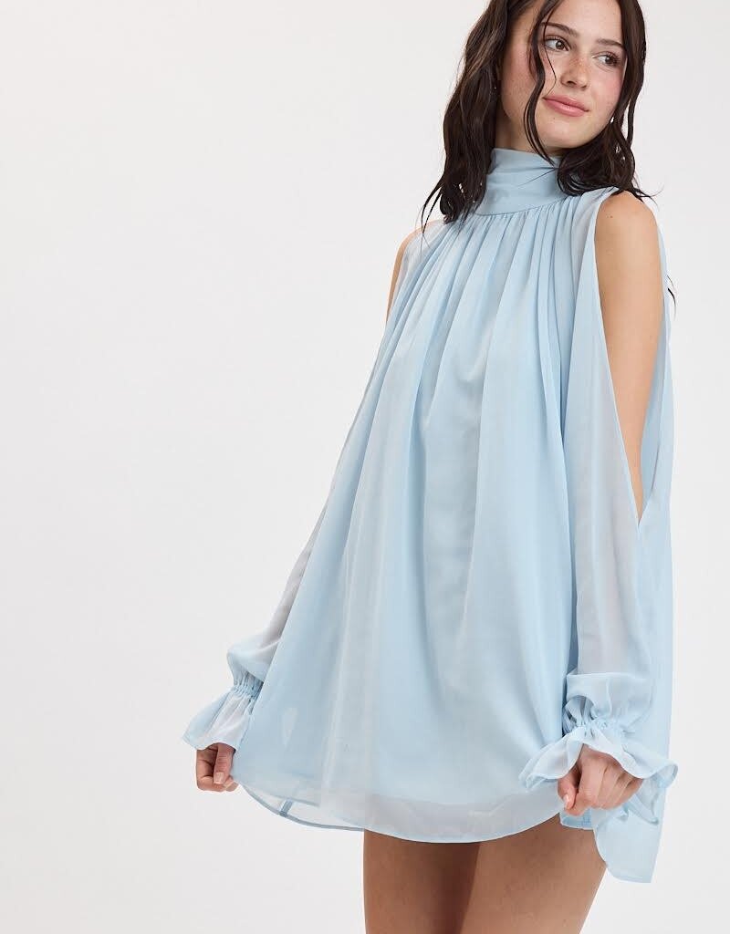 Celine Chiffon Long Sleeve Flowy Mini Dress