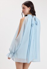 Celine Chiffon Long Sleeve Flowy Mini Dress