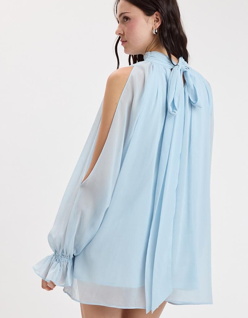 Celine Chiffon Long Sleeve Flowy Mini Dress
