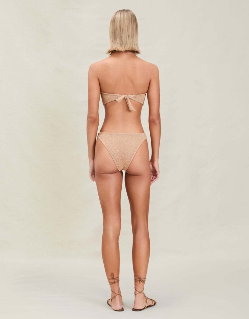 Devon Windsor Helen Moderate Bikini Bottom