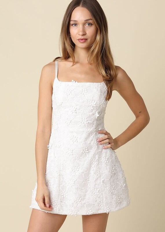 Embroidered Floral Square Neck Mini Dress
