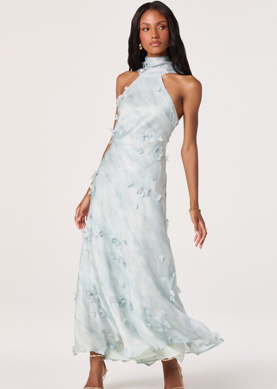 ASTR Ashley 3D Applique Maxi Dress
