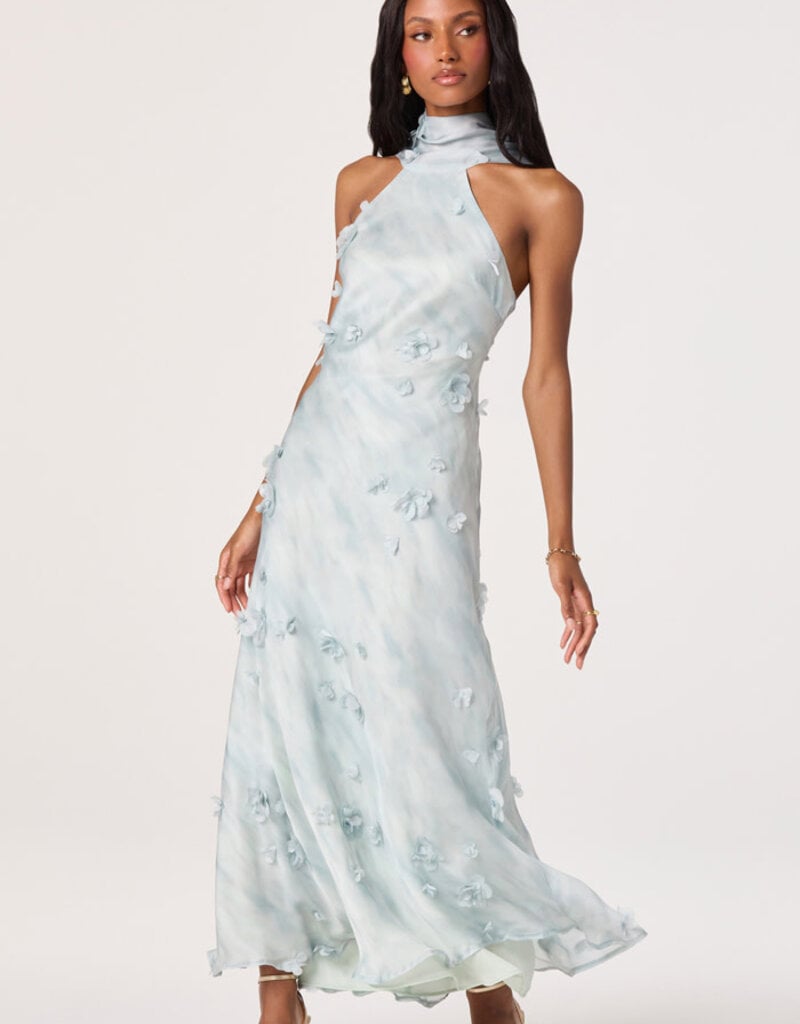 ASTR Ashley 3D Applique Maxi Dress