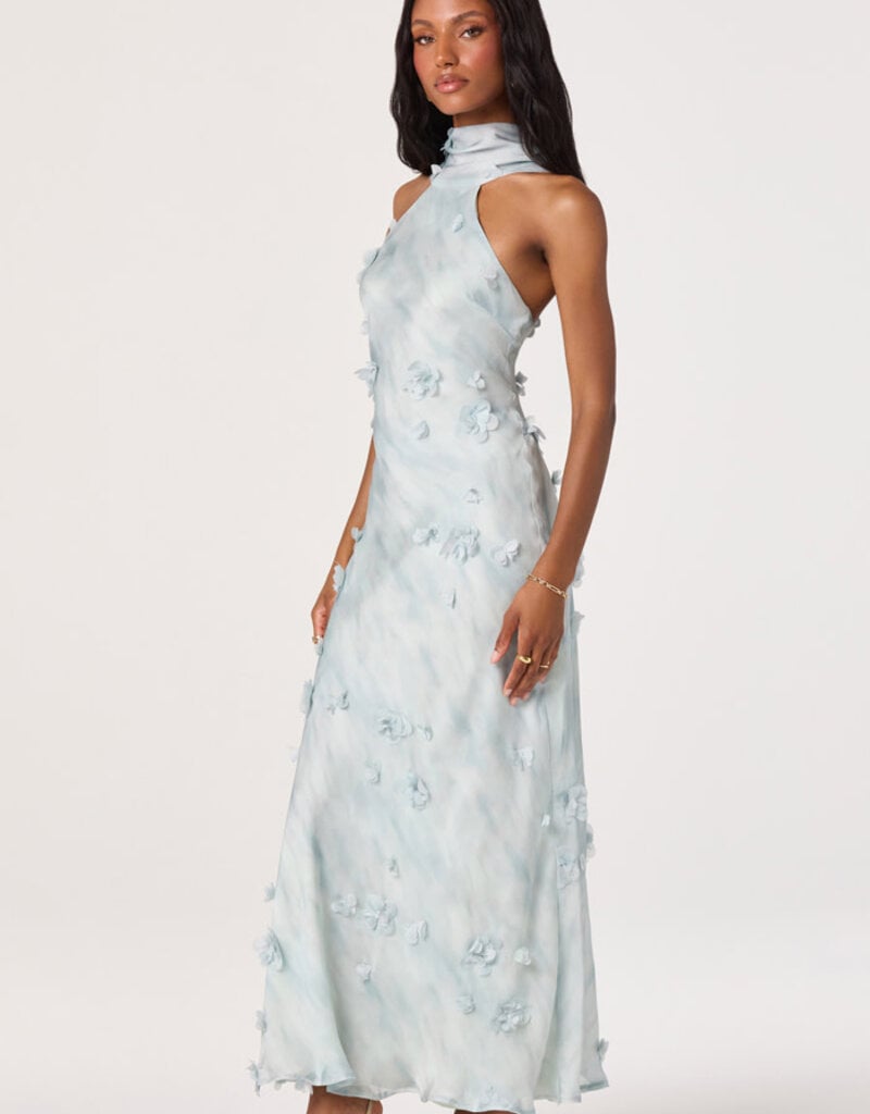ASTR Ashley 3D Applique Maxi Dress