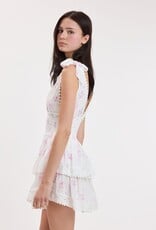 Thick Tie Strap Tiered Mini Dress