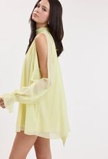 Celine Chiffon Long Sleeve Flowy Mini Dress