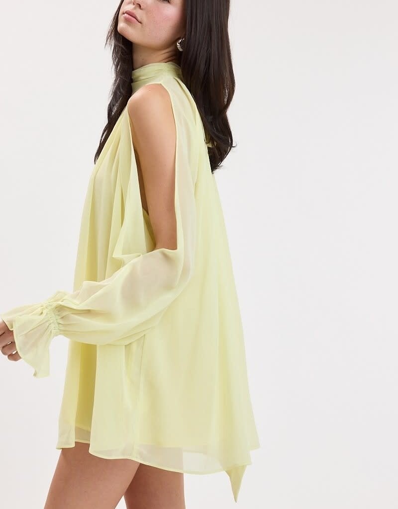 Celine Chiffon Long Sleeve Flowy Mini Dress
