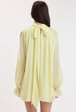 Celine Chiffon Long Sleeve Flowy Mini Dress