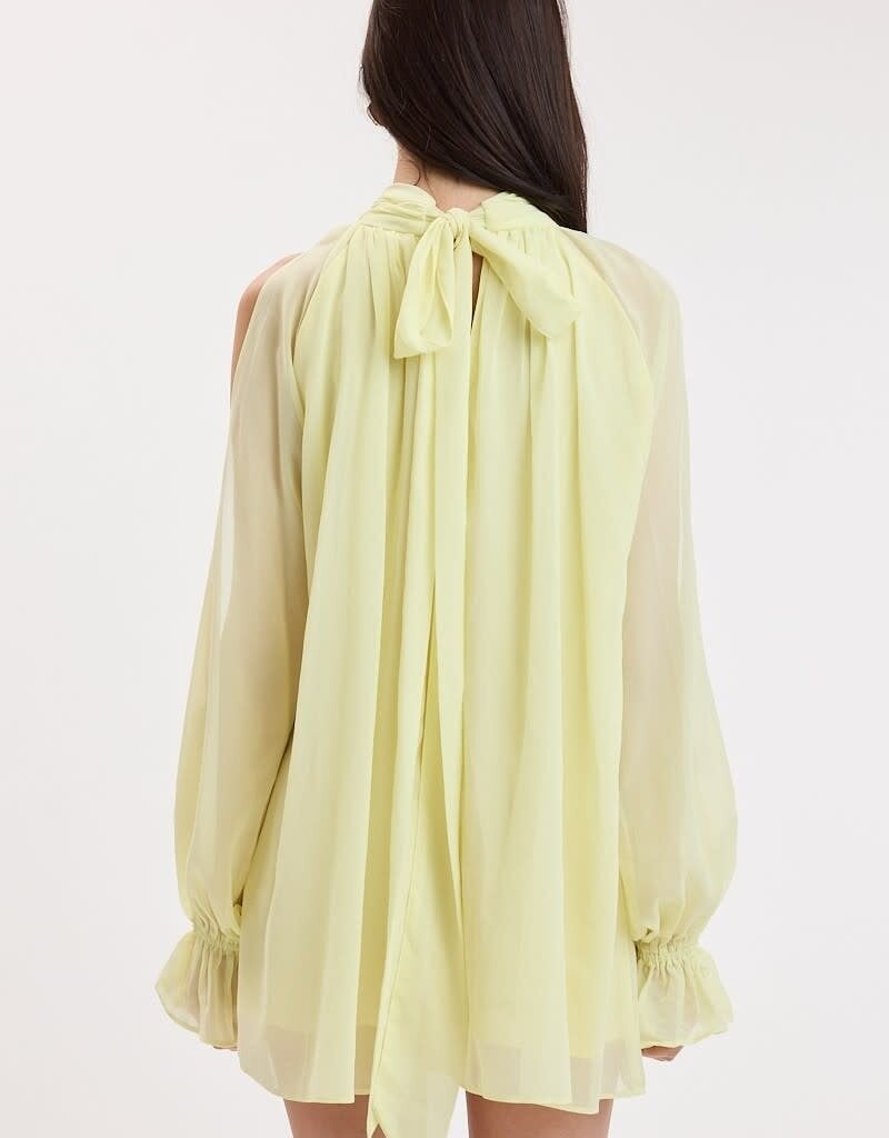 Celine Chiffon Long Sleeve Flowy Mini Dress