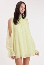 Celine Chiffon Long Sleeve Flowy Mini Dress