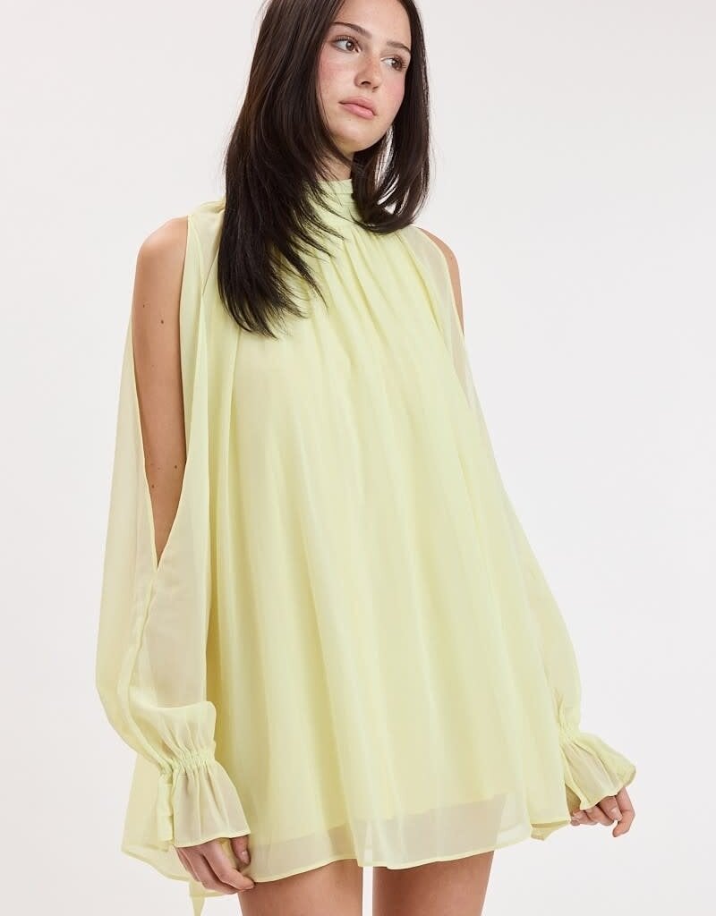 Celine Chiffon Long Sleeve Flowy Mini Dress