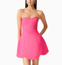Elliatt Noralyn Strapless Mini Dress