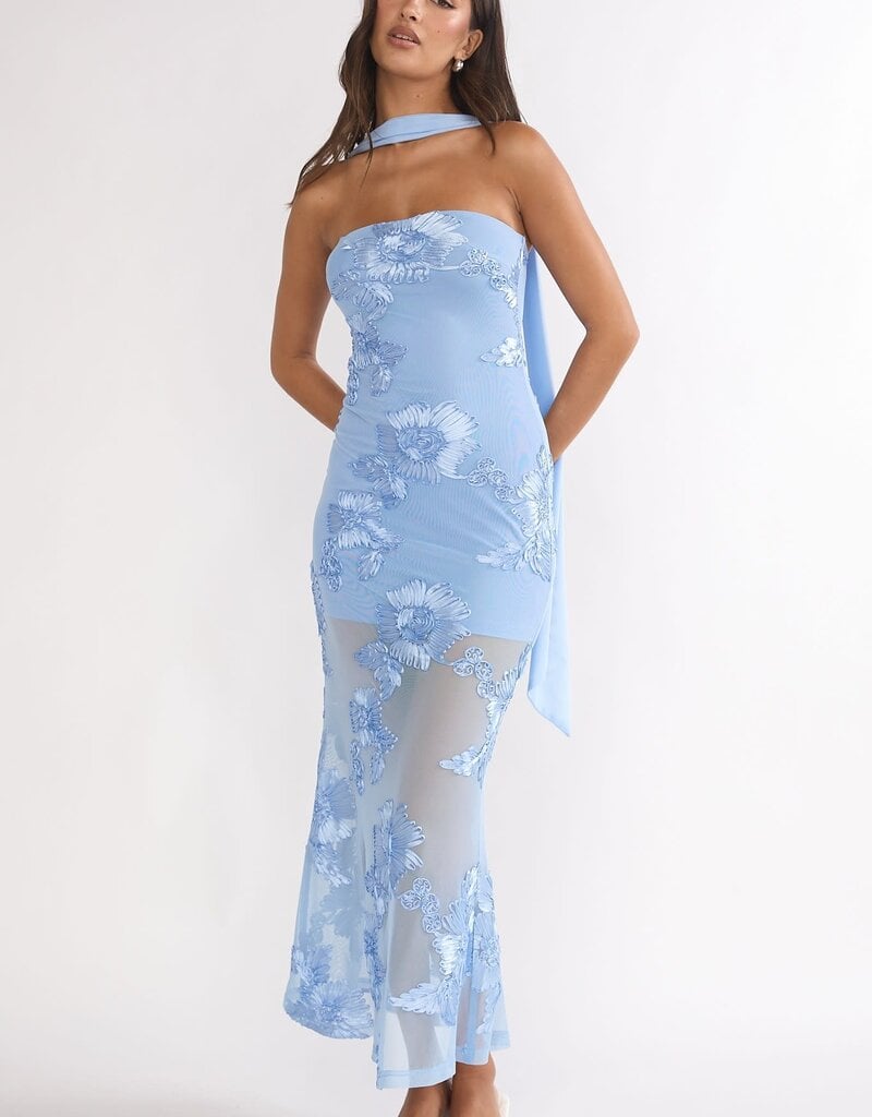 Demi Floral Embroidered Sheer Maxi Dress
