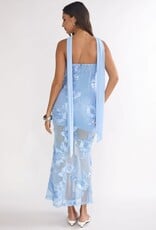 Demi Floral Embroidered Sheer Maxi Dress