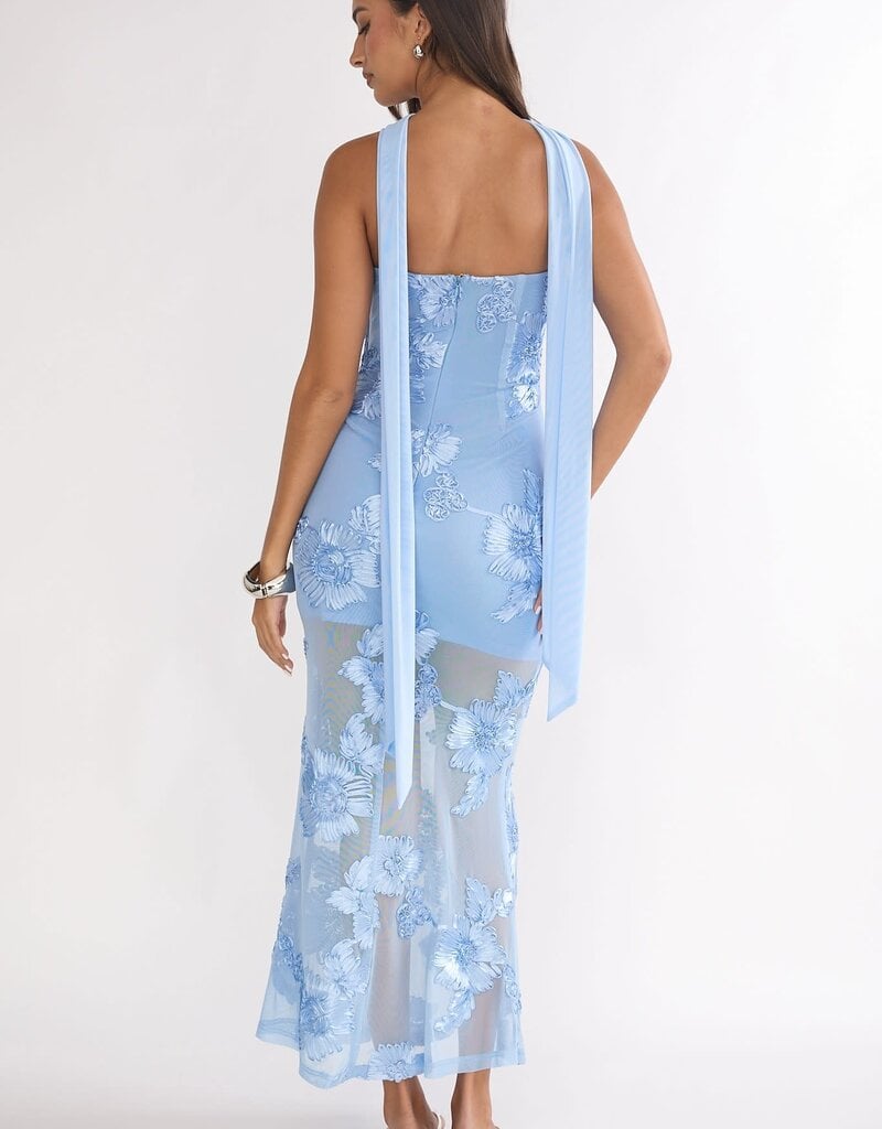 Demi Floral Embroidered Sheer Maxi Dress