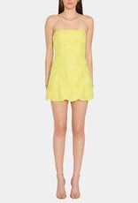 Amanda Uprichard Daisy Strapless Floral Texture Romper Mini Dress