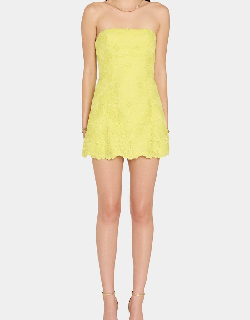 Amanda Uprichard Daisy Strapless Floral Texture Romper Mini Dress