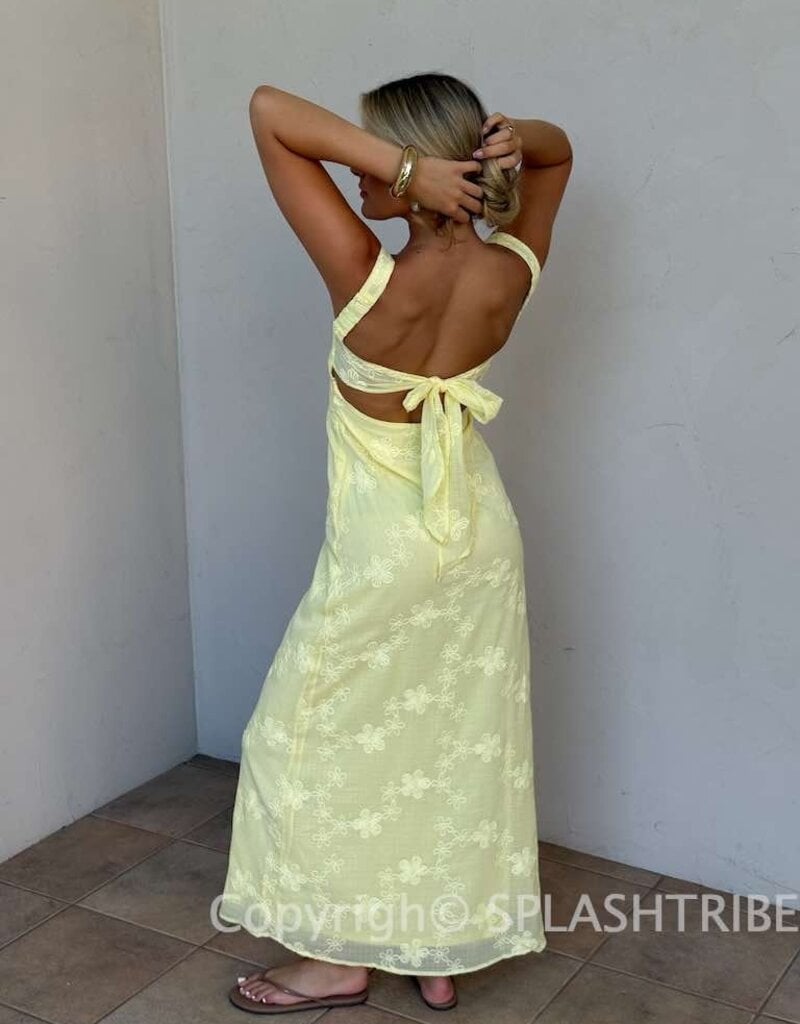 Evie Floral Embroidered Tie Back Maxi Dress